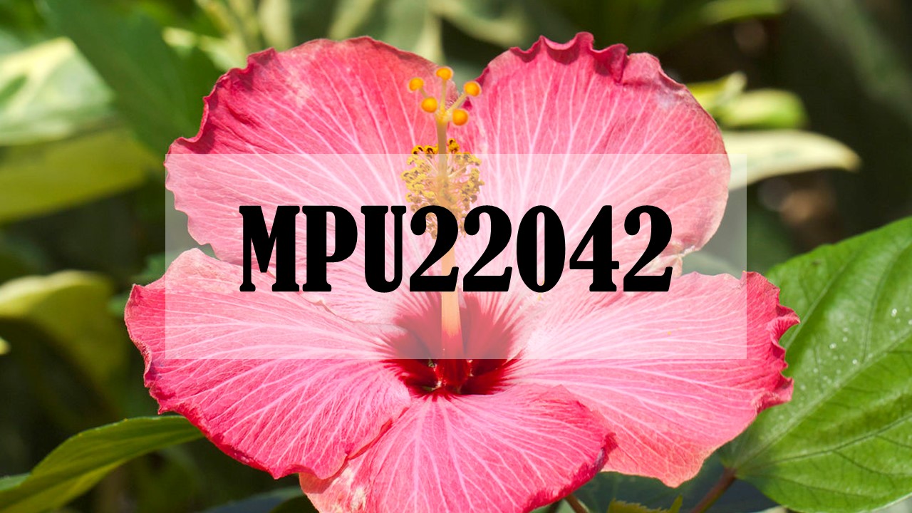 MPU22042 - BAHASA KEBANGSAAN A